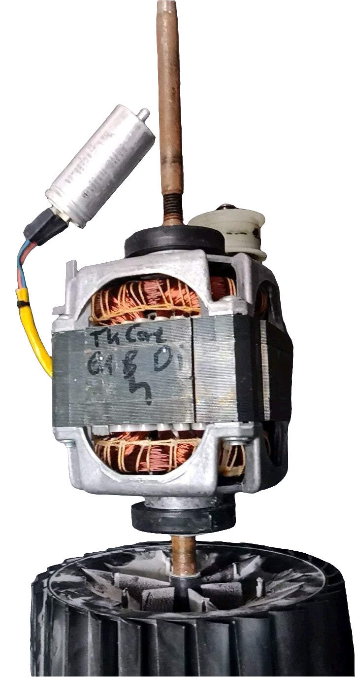 #G12 Bauknecht TK Care 61 B Di 481236118532 Motor